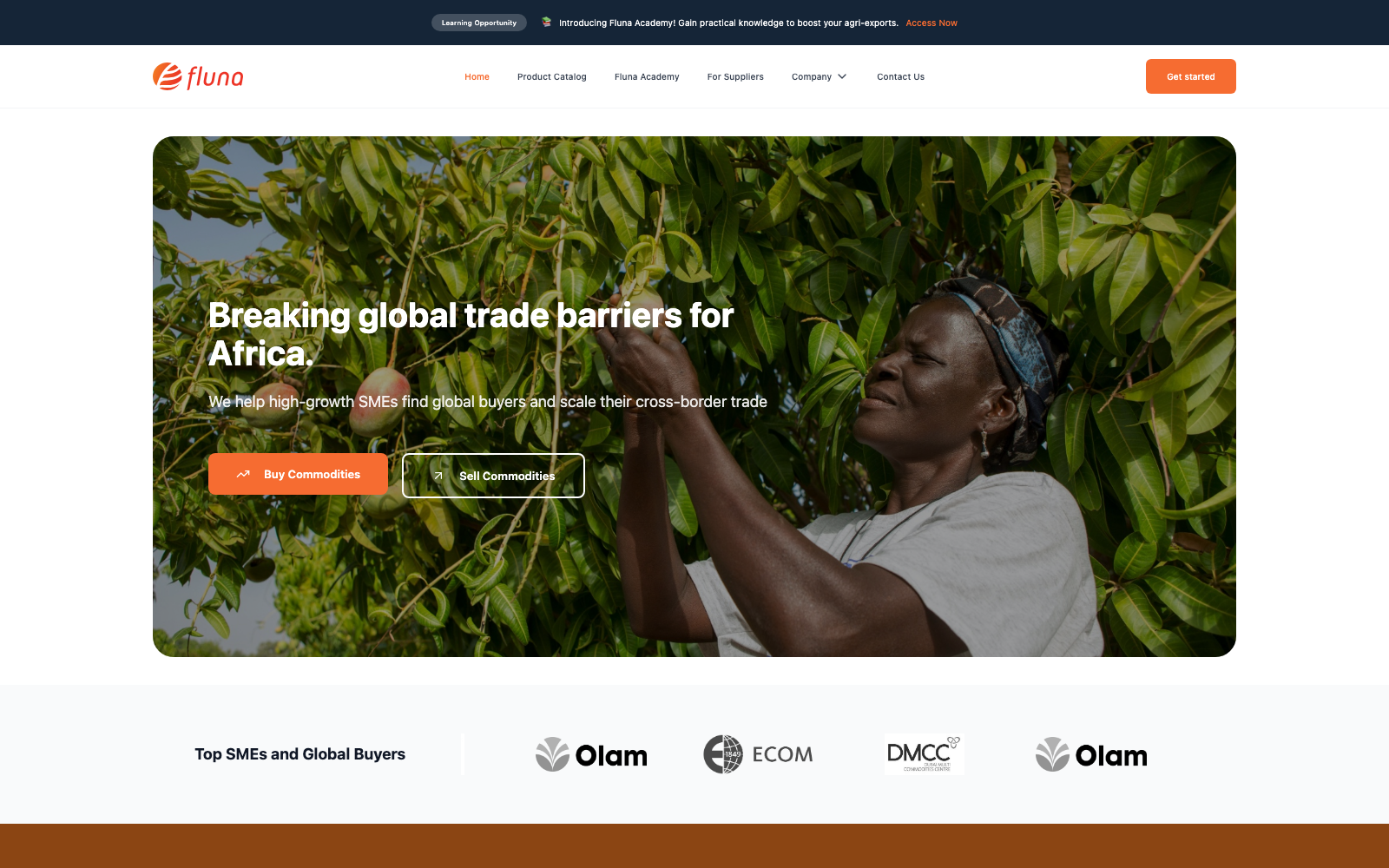 Fluna — Breaking global trade barriers for Africa